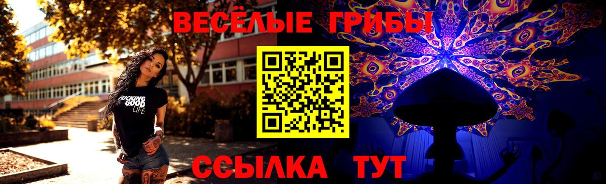 Коммунар  Псилоцибиновые грибы Psilocybine cubensis  Вход с VPN 
